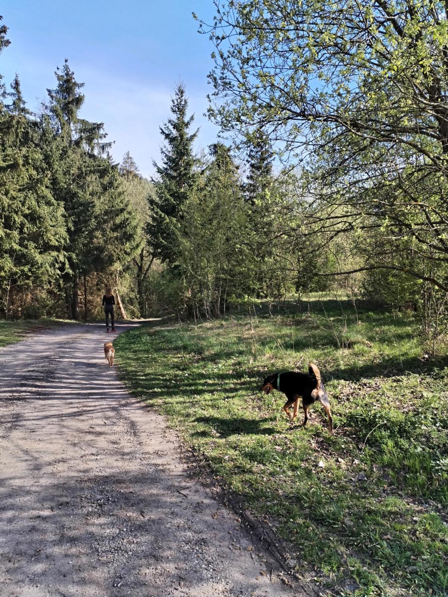Penzion Real Žiar Dış mekan fotoğraf